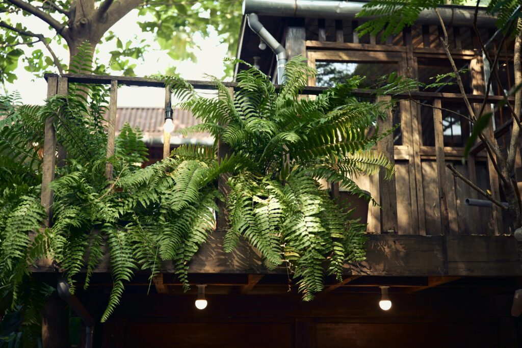 small balcony decor ideas