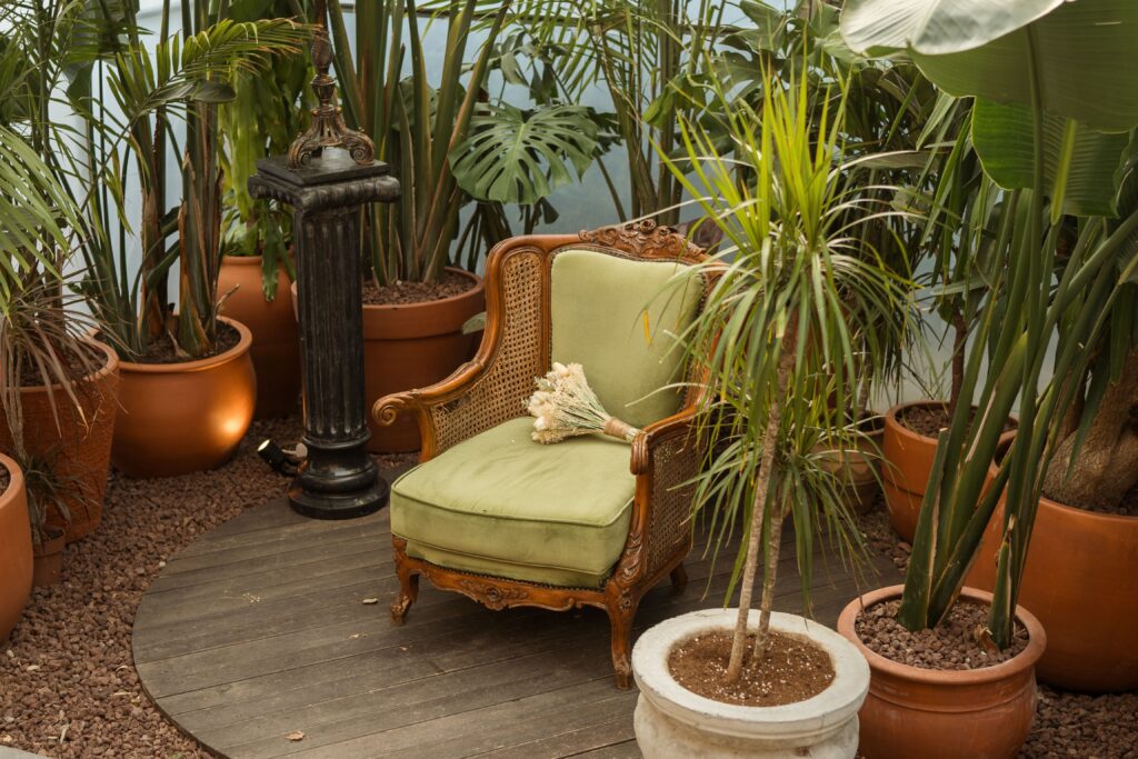tropical living room ideas