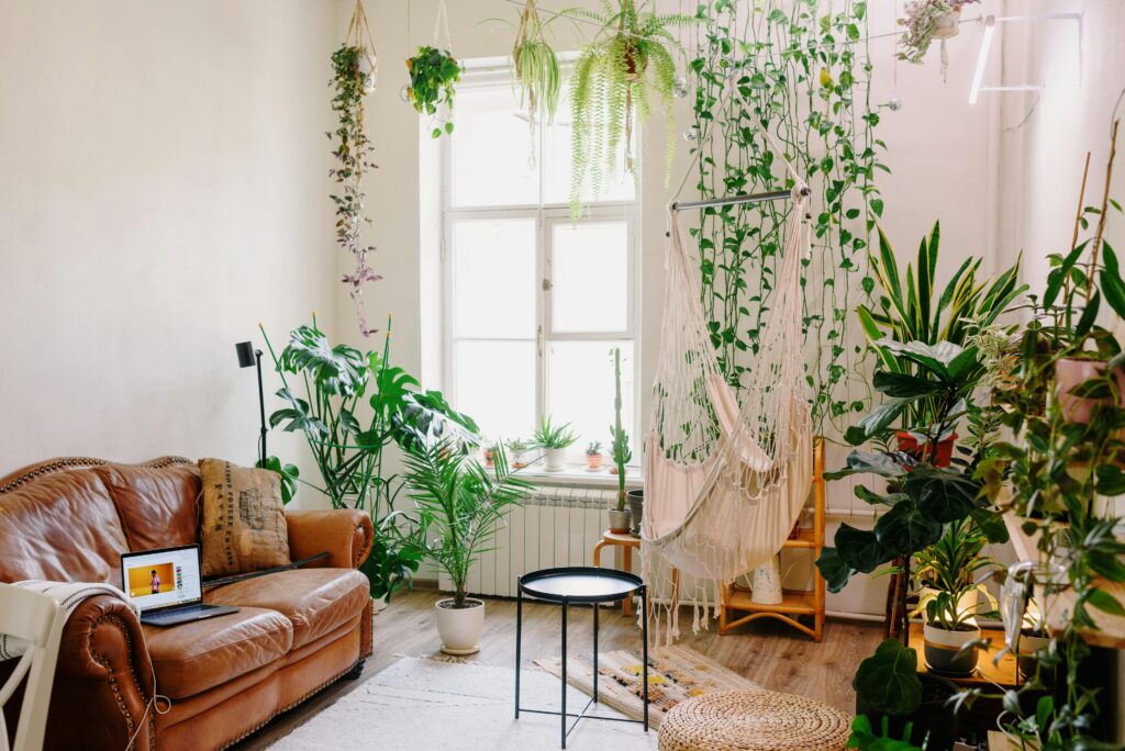 small space plants ideas
