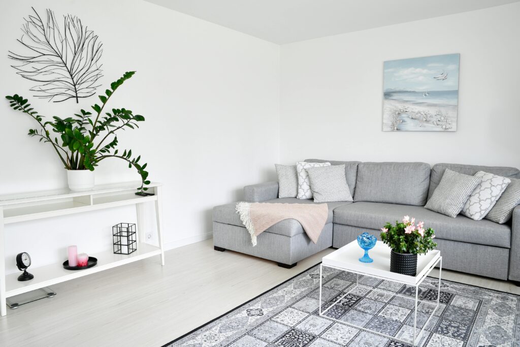 small living room bright minimal