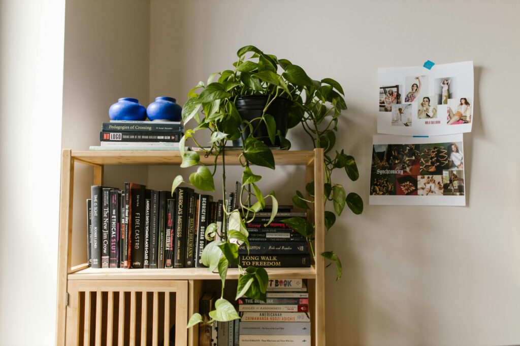 how to style bookshelves small spaces